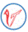 VAPS Technosoft logo