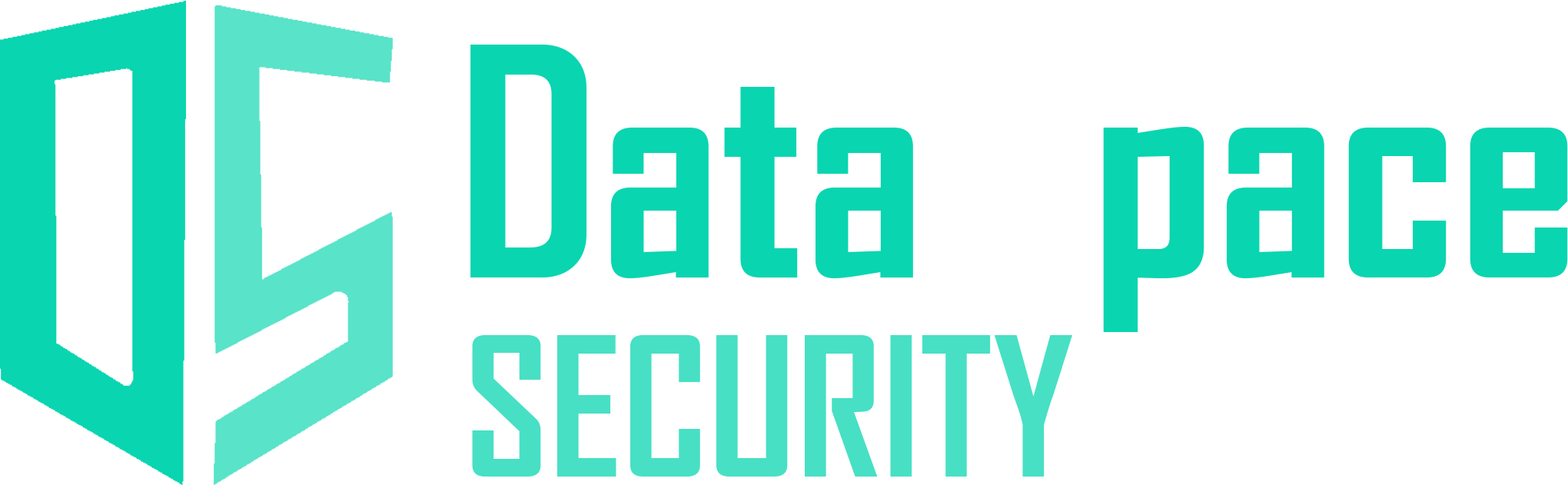 DataSpace Academy logo