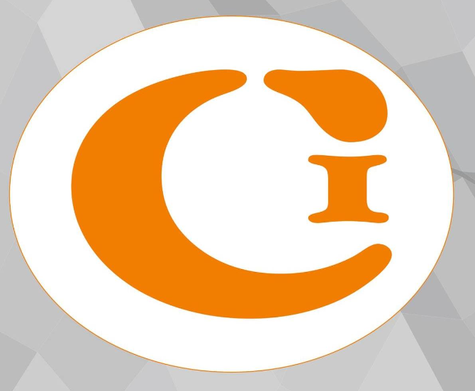 Convertex India logo