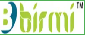 Birmi International logo