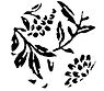 Arushii logo