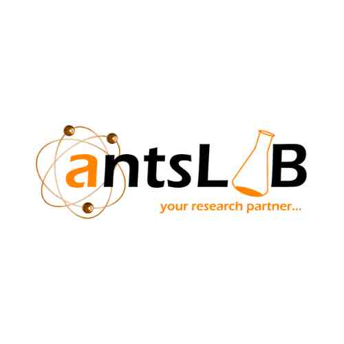 ants ceramics logo