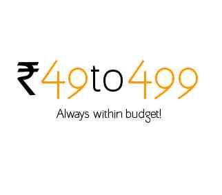 49to499 logo