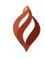 Vydehi Ayurveda logo