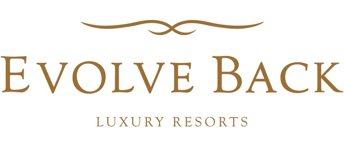 Evolve Back logo