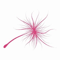 The Windflower logo