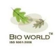 Bioworld logo