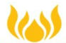 Sumeru Solutions logo