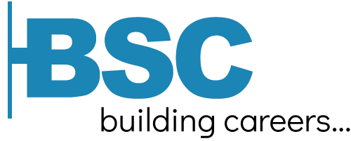 Brainsearch logo