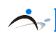 Dream Jobs logo