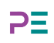 Purple Enigma AI Labs logo