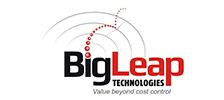 BigLeap Technologies logo