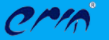 ERM Placement Services logo