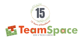 TeamSpace logo