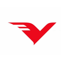 Vision India logo