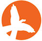Skillveri logo