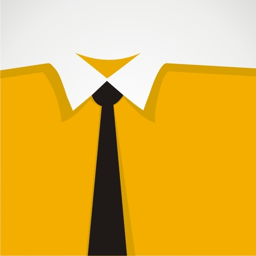 Salaree.com logo