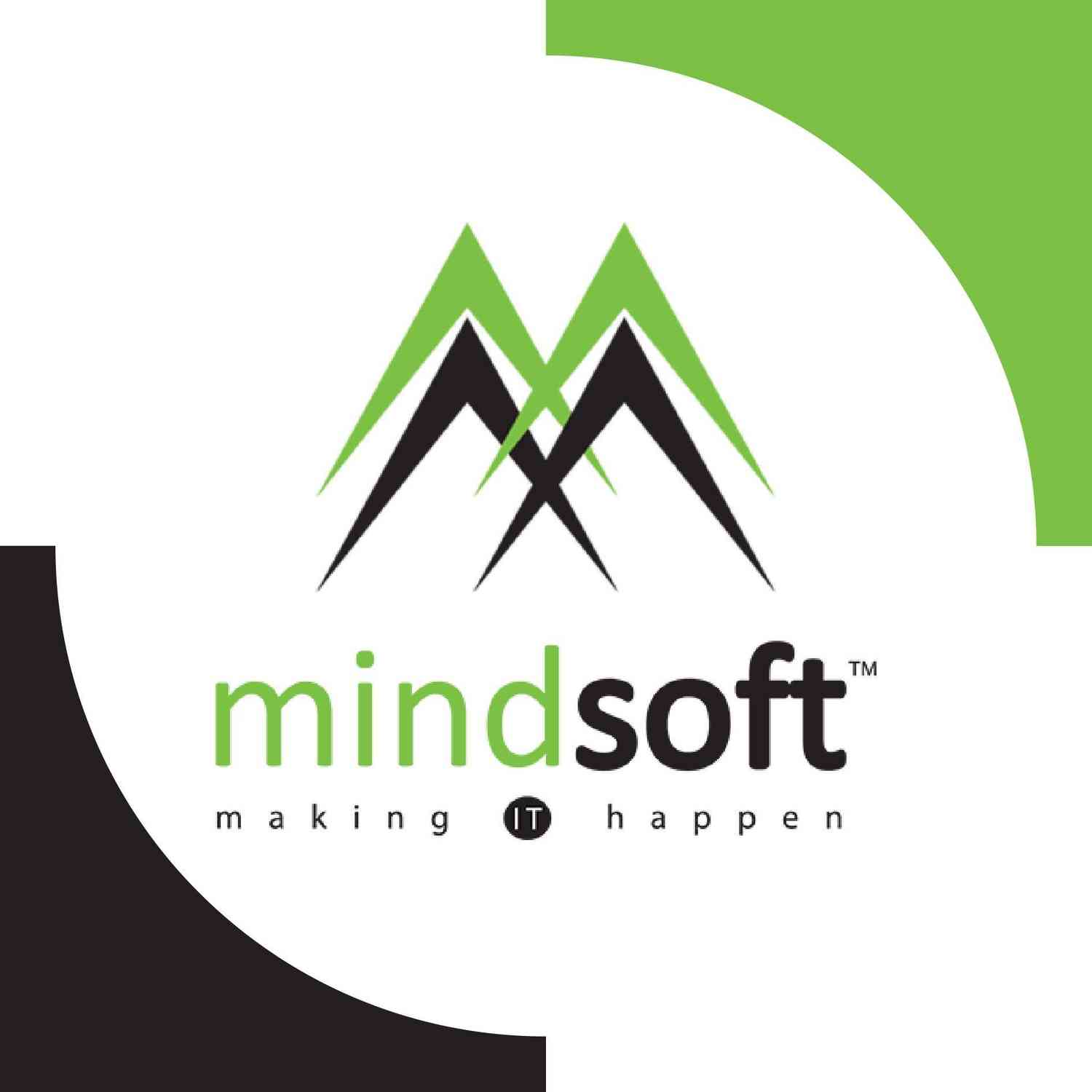 mindsoft logo
