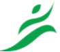 Logiprompt Pro Academy logo