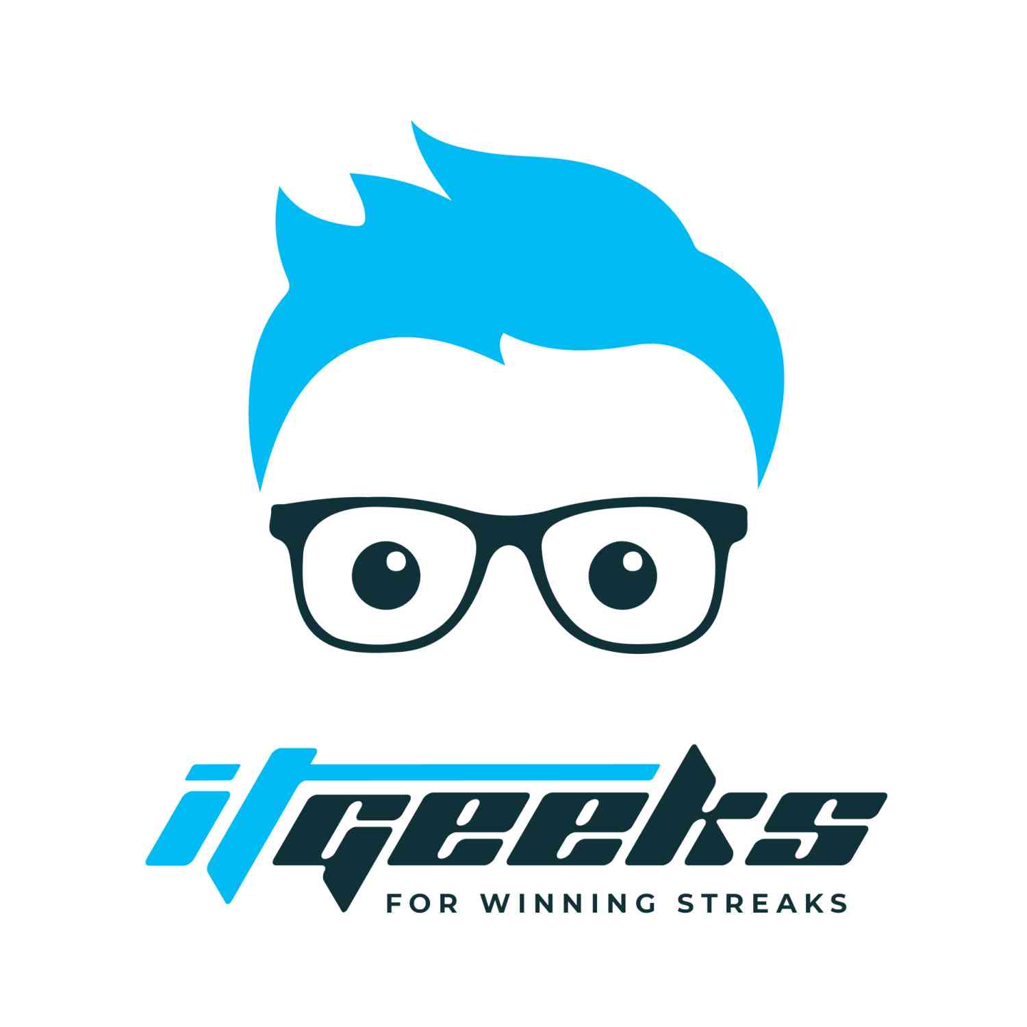 itgeeks logo