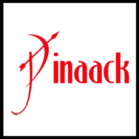 pinaack solutions logo