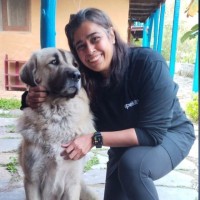 Vidya Venugopalan profile photo