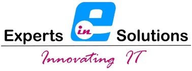 Experts IN Solutions logo
