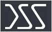 DSS logo