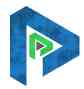 patson enterprise logo