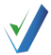 Vashi Integrated Solutions logo