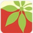 Dill logo