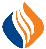 Sri Satyam ISPAT India logo