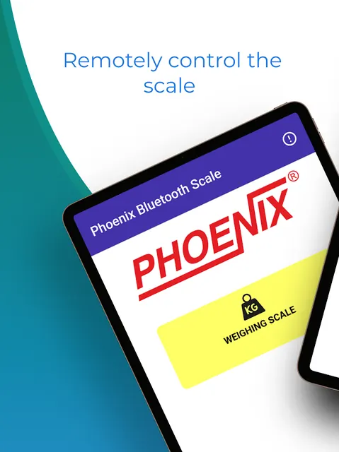 Phoenix Weighing Scale screenshot 6