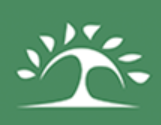 Bodhi logo