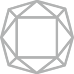 Silver Stone India logo