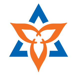 Shakambhari Ispat & Power logo