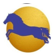 Vishvaprabha Ventures logo