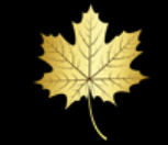 Gold Leaf Insurance Brokers logo