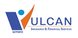 Vulcan Insurance logo
