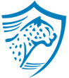 Blue Armour logo