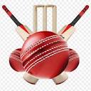 Cricket Forum logo