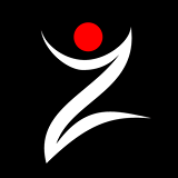 Zersey logo