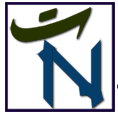 Taemeer News logo