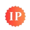 India Pioneer logo