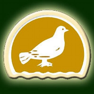 The Siasat Daily logo