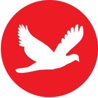 Tech Observer Magazine logo