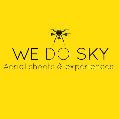 WeDoSky logo