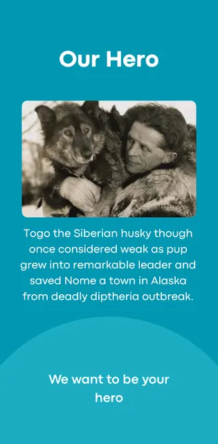 TOGO - Your Pet Our Care screenshot 4