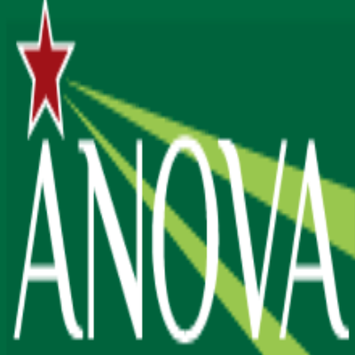 ANOVA Corporate Services logo