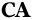 CorpAcumen logo